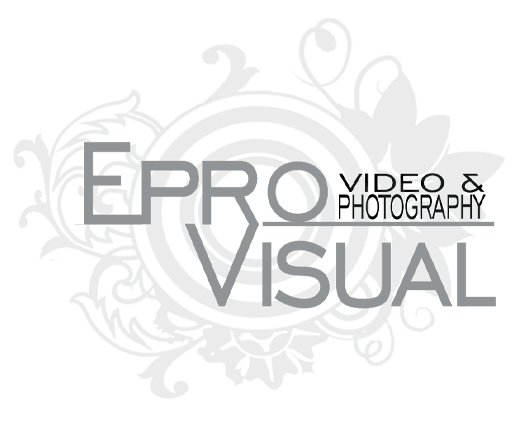 Logo EproVisual copy